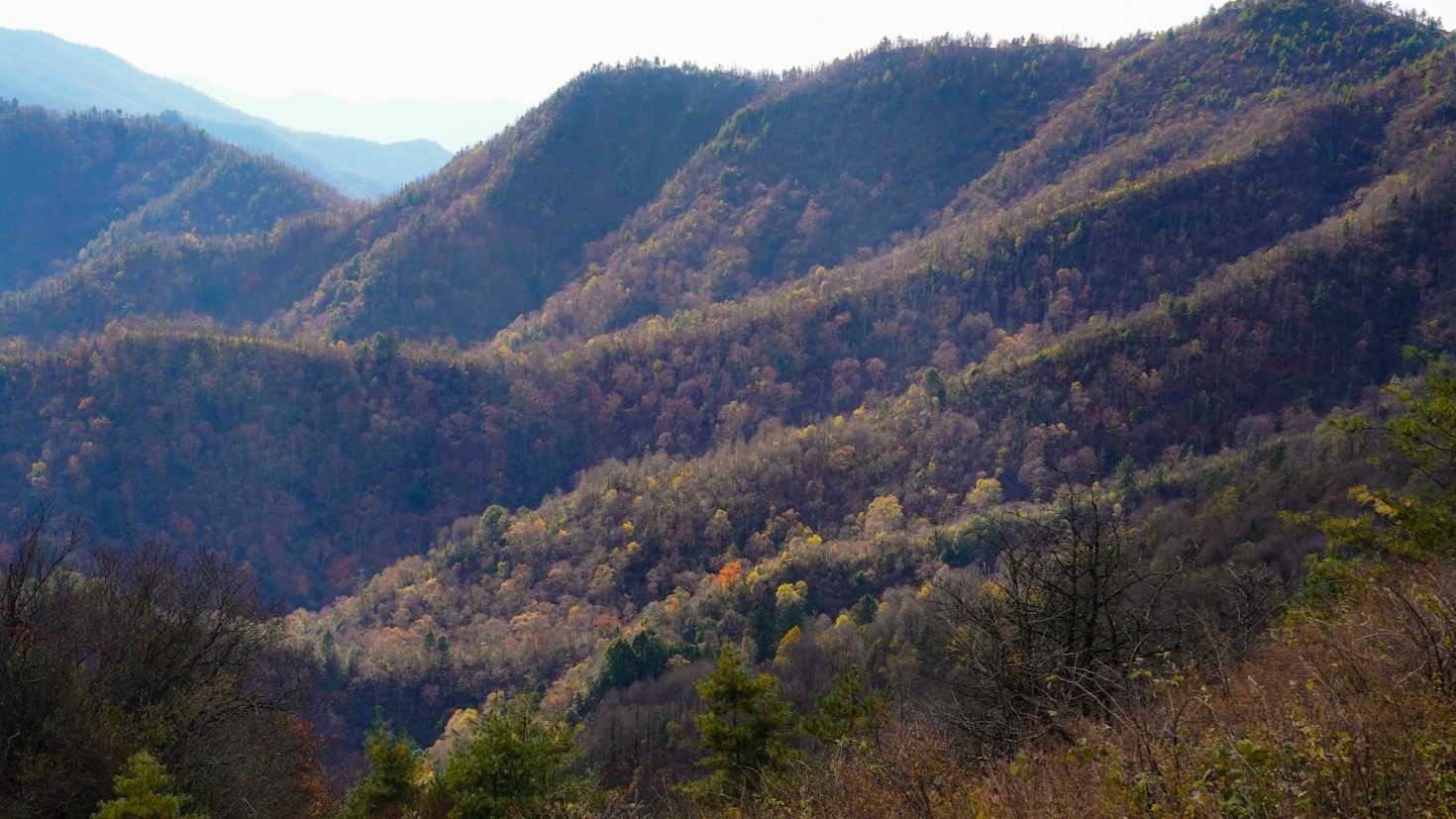 Lær kunsten å nyte fritiden fullt ut